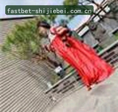 陈磊